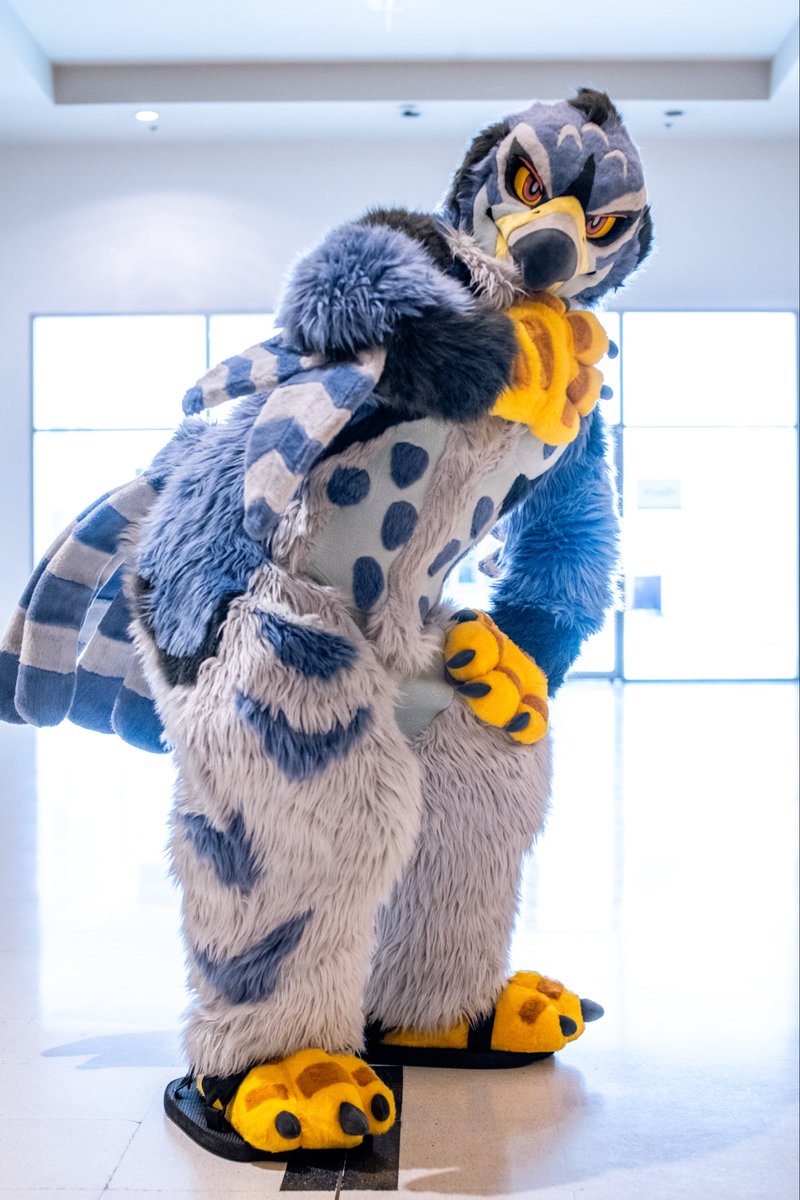 Osburrr's tweet photo. Looking for me?
#FursuitFriday https://t.co/r2P6QfzwOQ