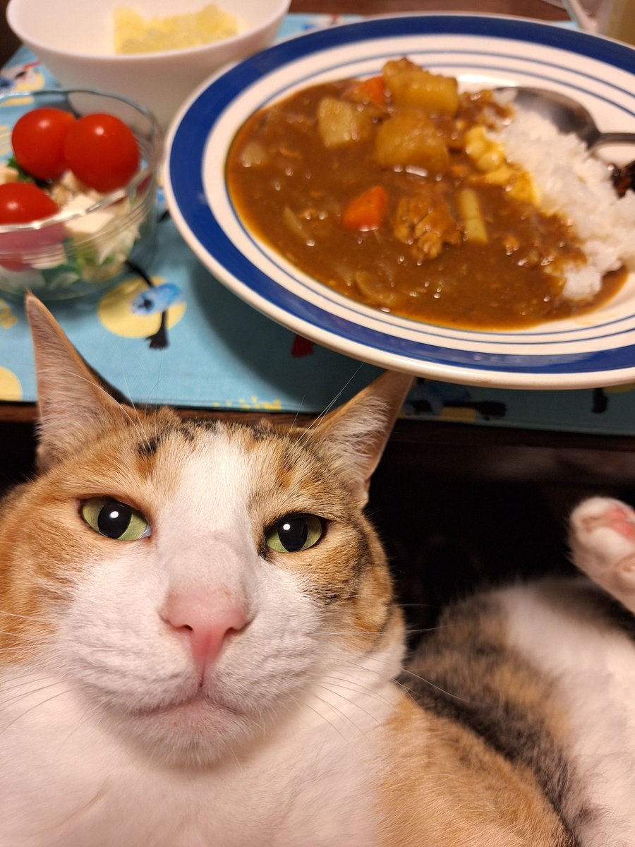 にこちゃまちゃんぬる tweet media