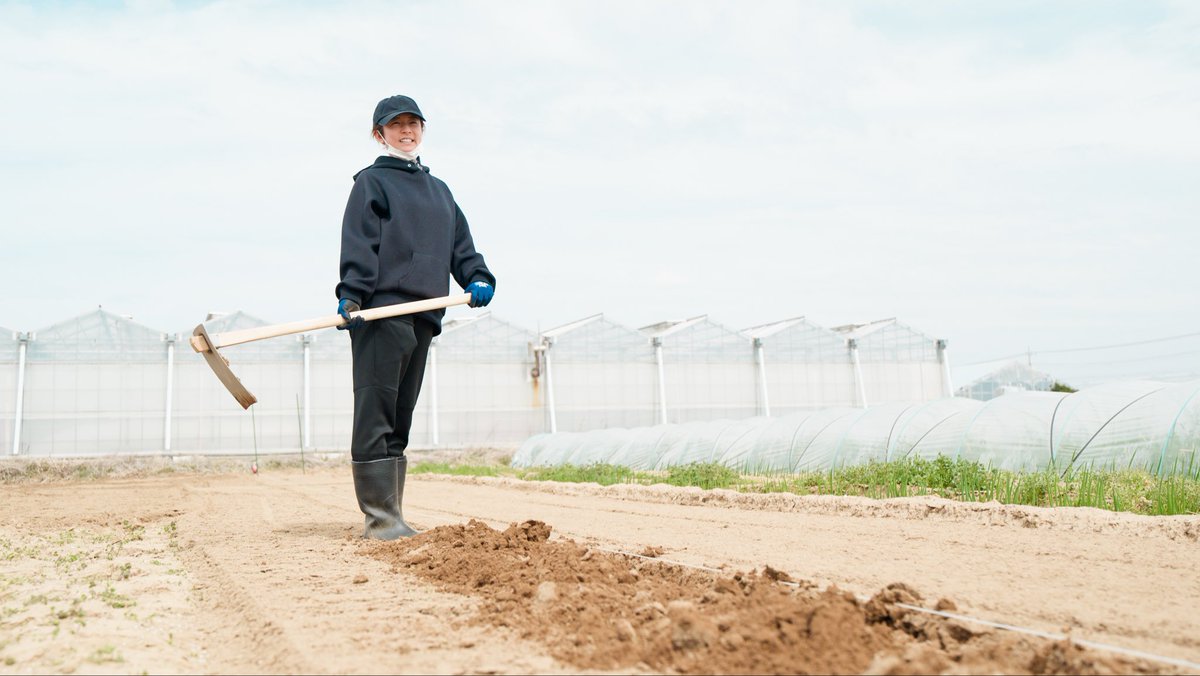 木村文乃&Staff tweet media