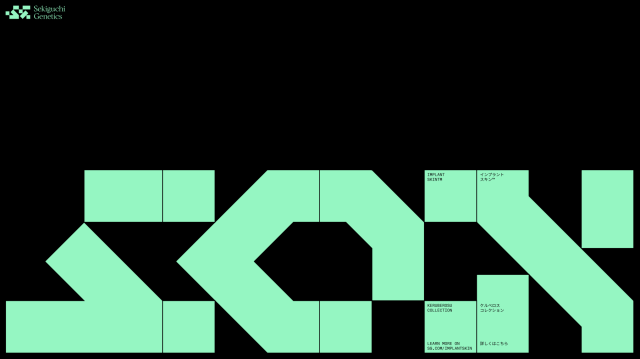 DesignPractice™ tweet media