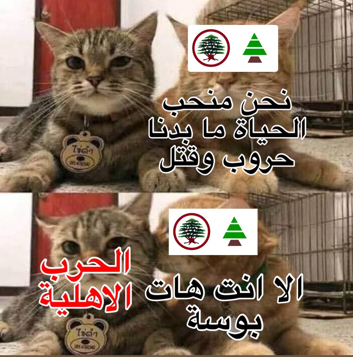🚶🏿‍♂️مُـ tweet media