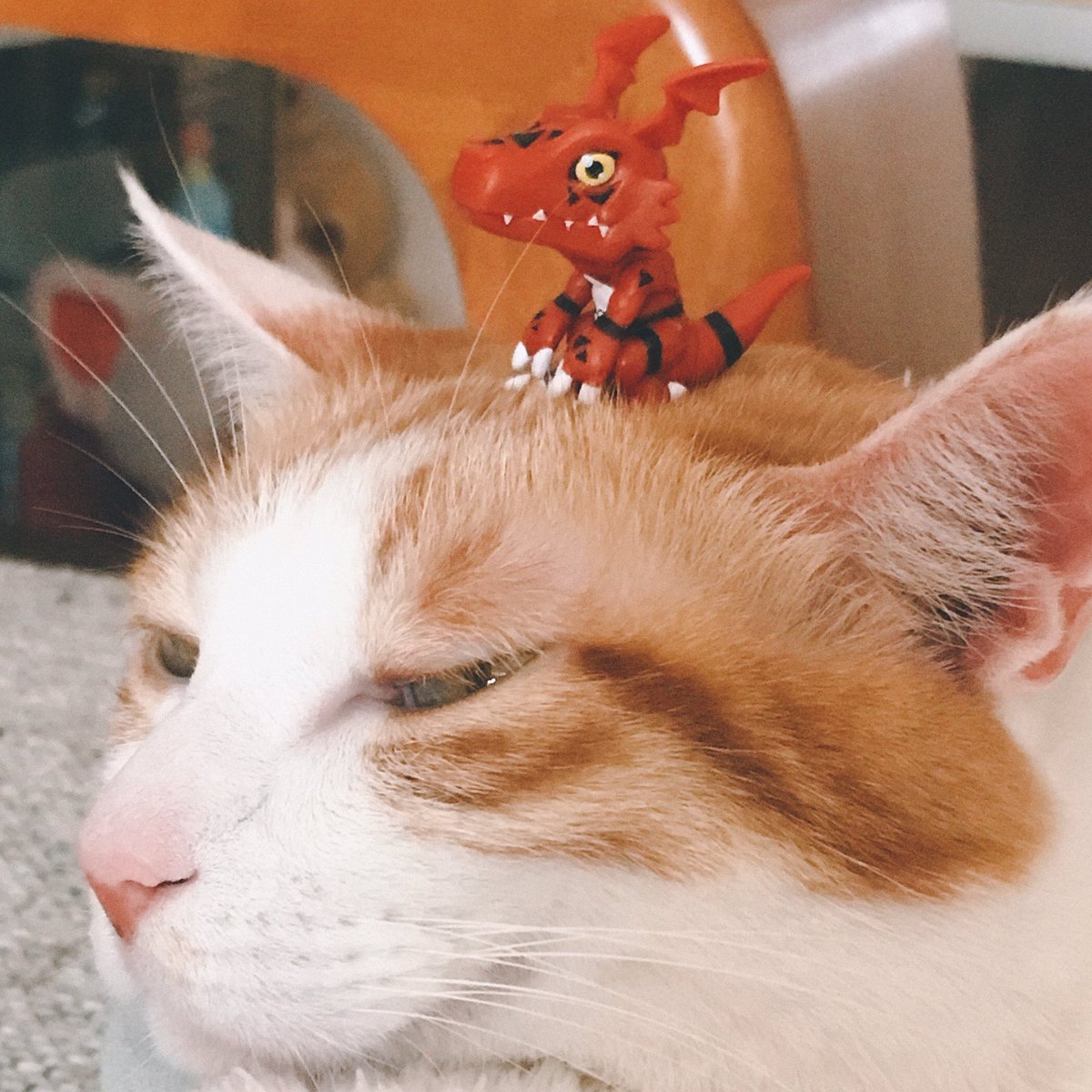 🍔リンリン🍚stableoden tweet media