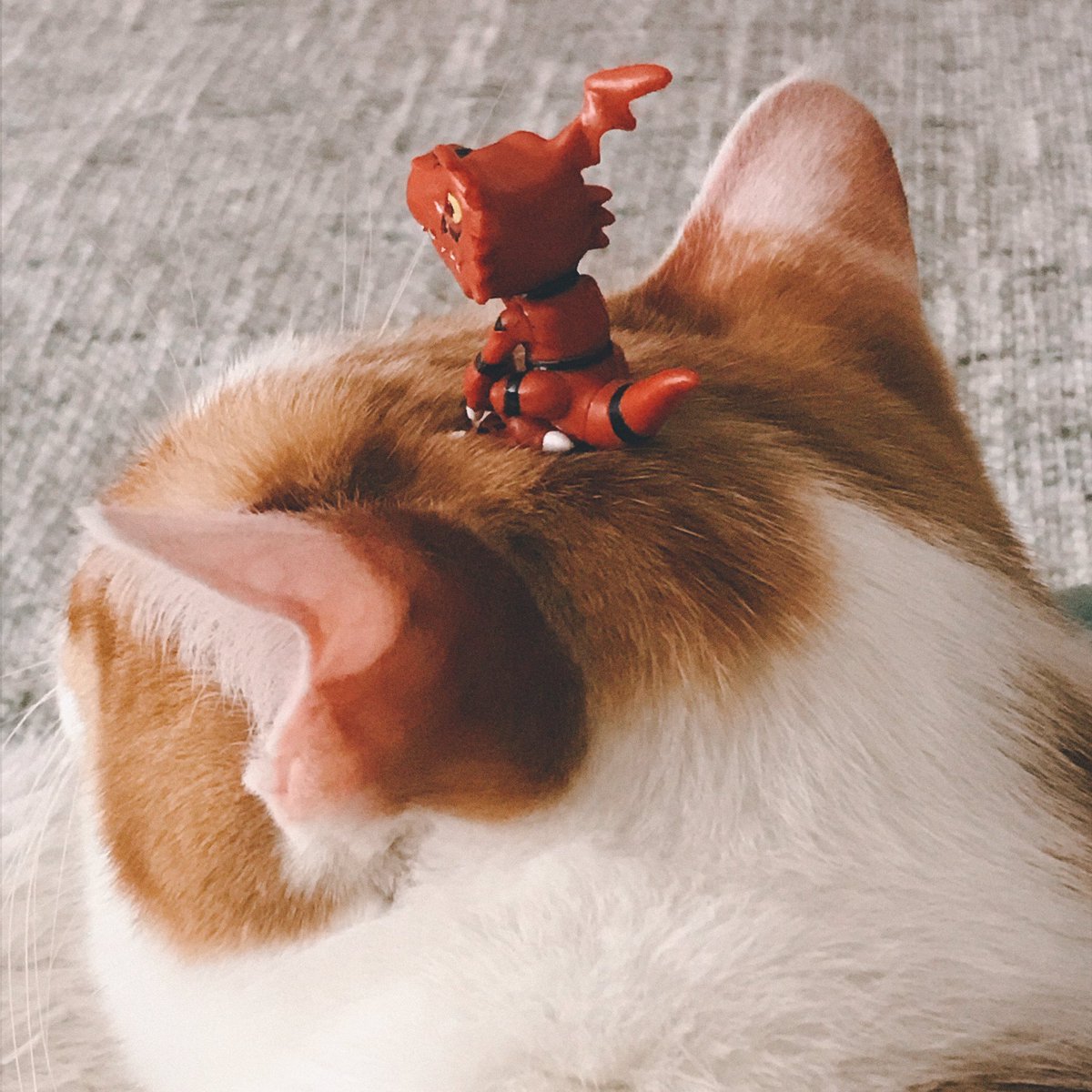 🍔リンリン🍚stableoden tweet media