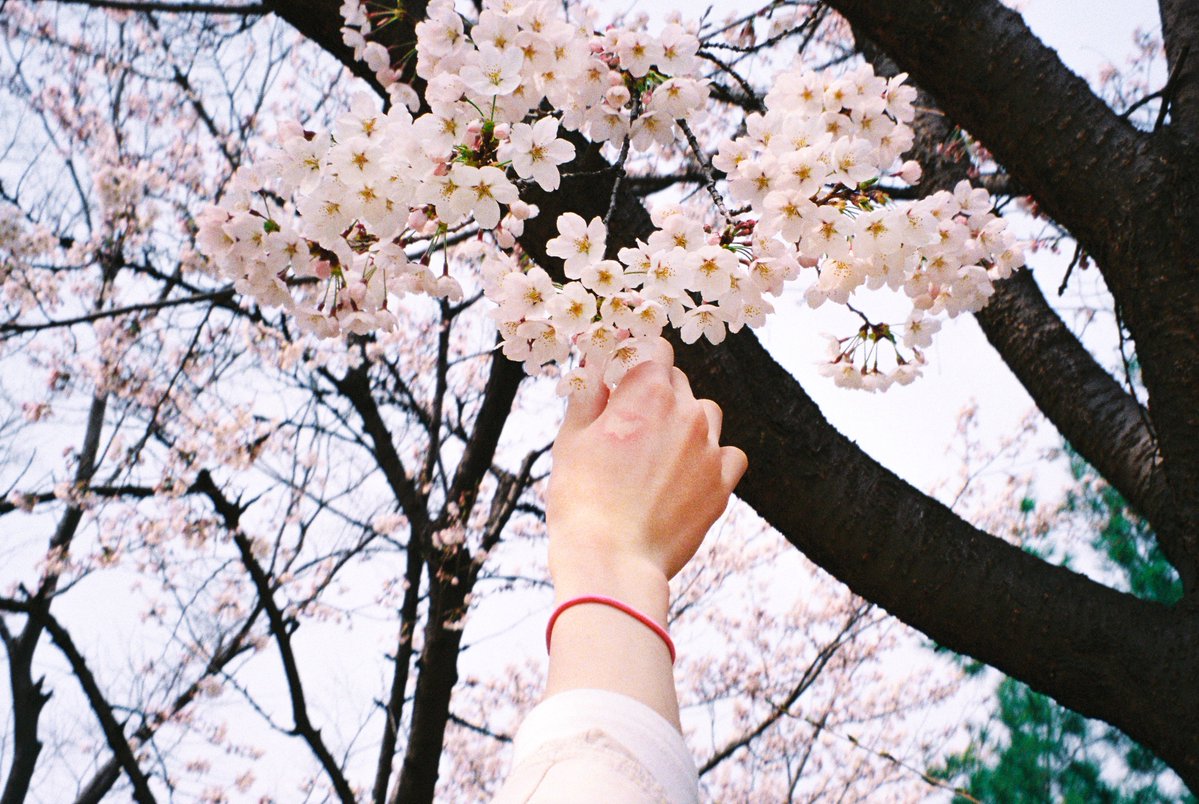 NCT WISH tweet media