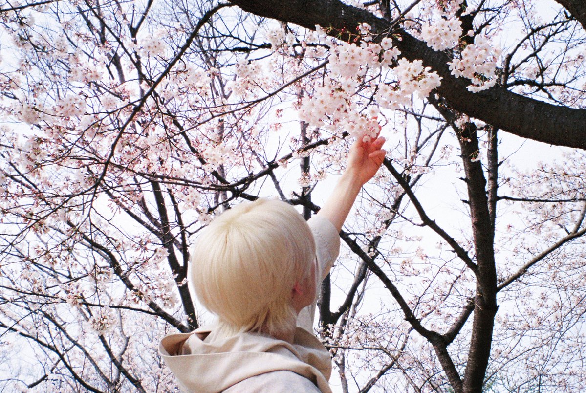 NCT WISH tweet media