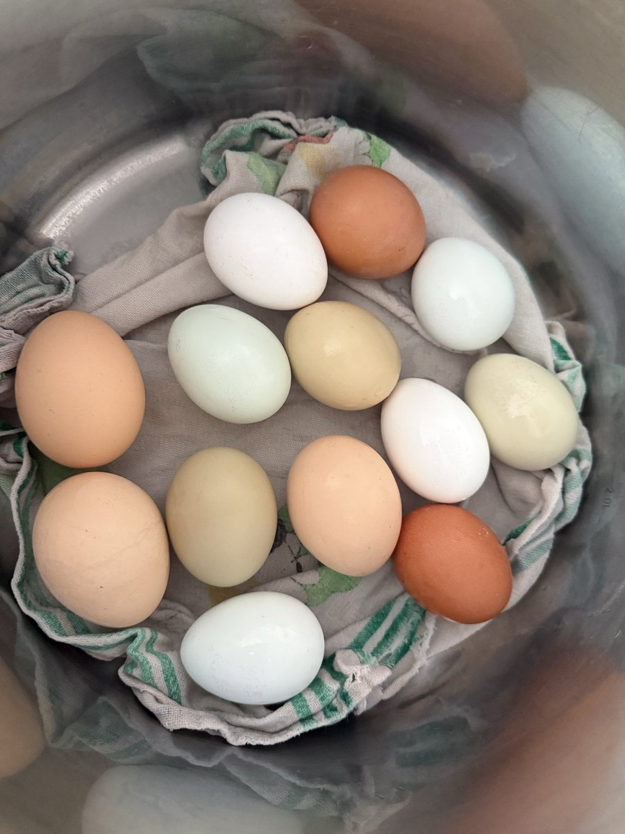 𝕭𝖎𝖘𝖆&𝕸𝖎𝖒𝖆 tweet media