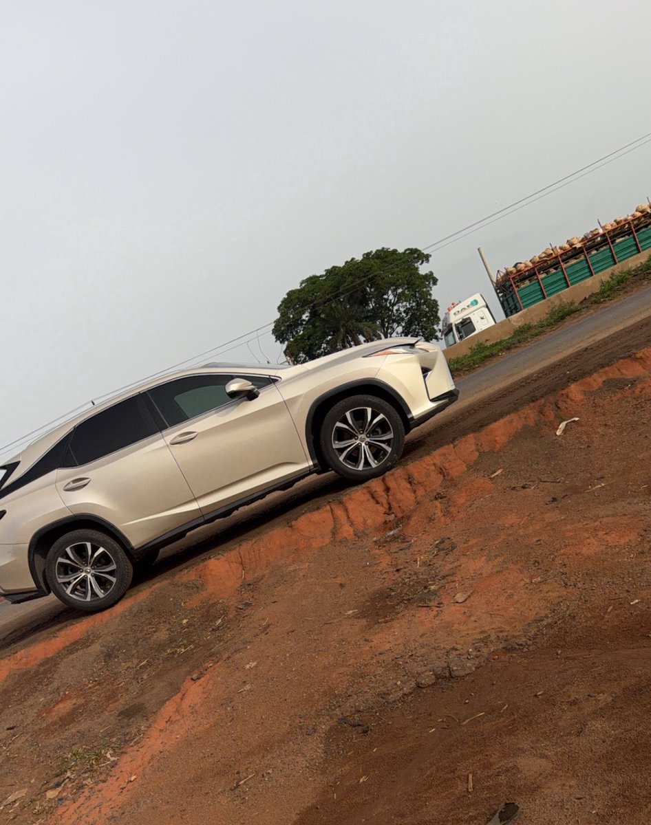 Dave💊 tweet media