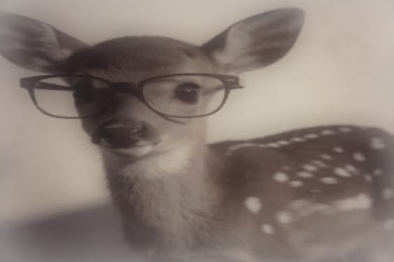 ريمان tweet media