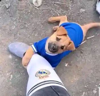 HARDEY 🥇 tweet media