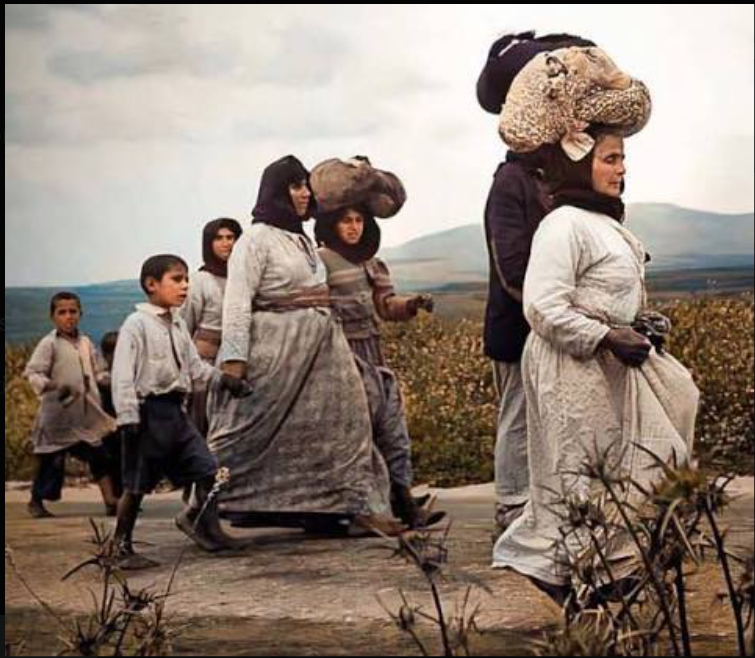 فيصلاوي صميم tweet media