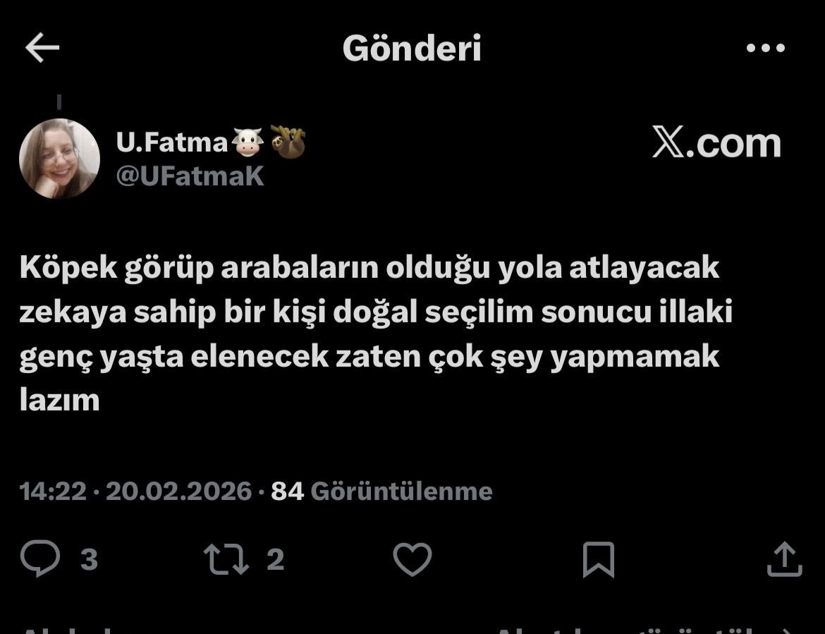 Koçovalı tweet media