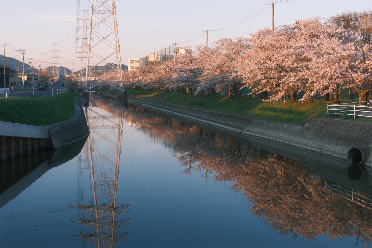 ASAMI_photo_movie tweet media