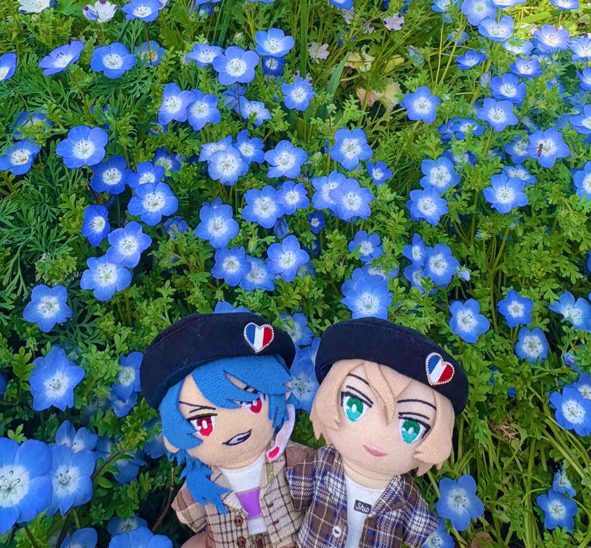 #これをみた人は無言で去年の4月の画像を貼る