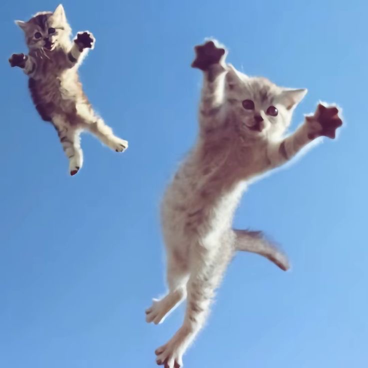 ท ่ านตุล tweet media