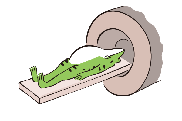 EFとEKとNと🐒九条塾© tweet media