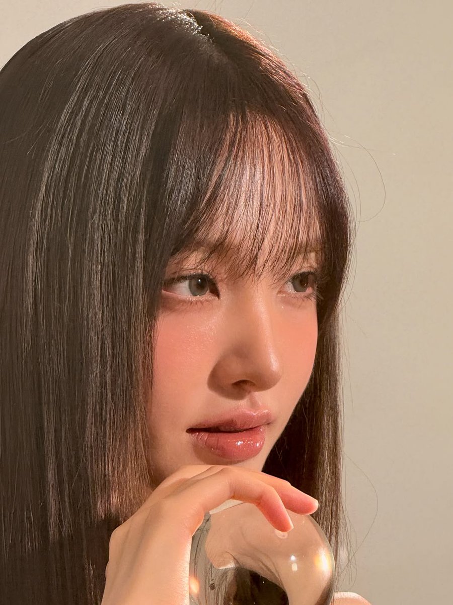 양배추 tweet media