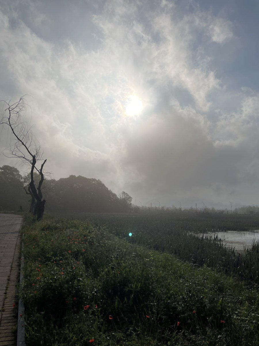 هدیه tweet media