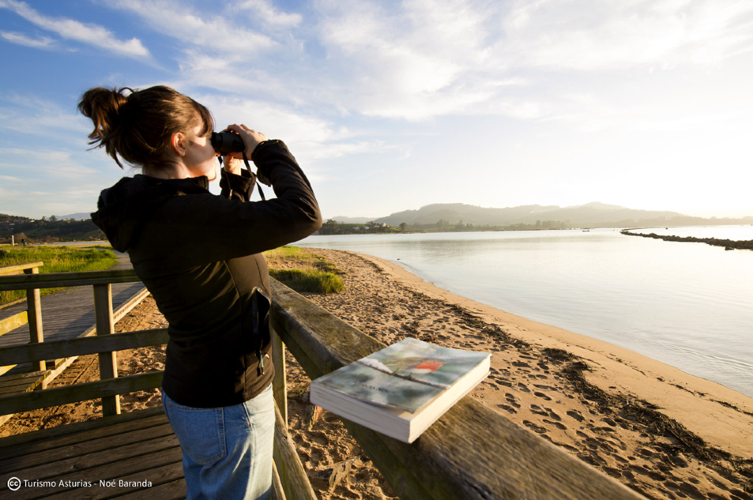 TurismoAsturias tweet media