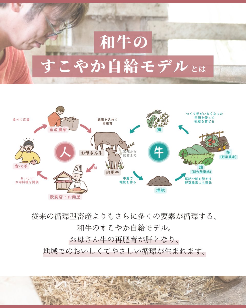 natsuhibeef's tweet photo. 夏日牛を飼育している伊藤畜産では、
『日本のおいしい和牛が
食卓に並び続ける未来をつくる』
ことを目標に掲げています。

この未来を実現するため、
”外部環境に左右されない
和牛農家の事業モデル”を模索。

そのモデルこそが、　
和牛のすこやか自給モデルです🐃🌿 https://t.co/0vwDD7K1JC