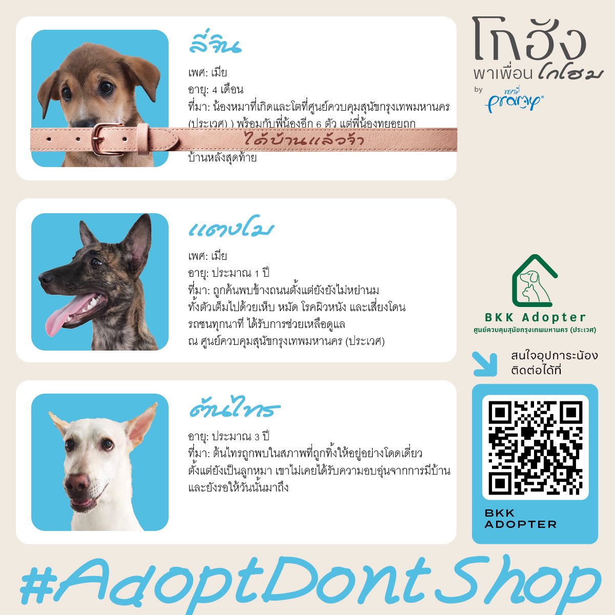 #โกฮังหัวใจโกโฮม
#GOHANTheMovie
#โกฮังพาเพื่อนโกโฮม
#AdoptDontShop