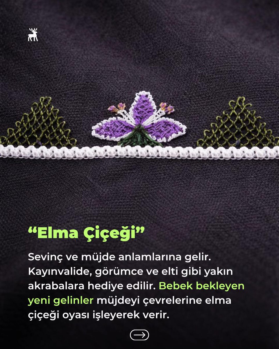 evaaa𓃠 tweet media