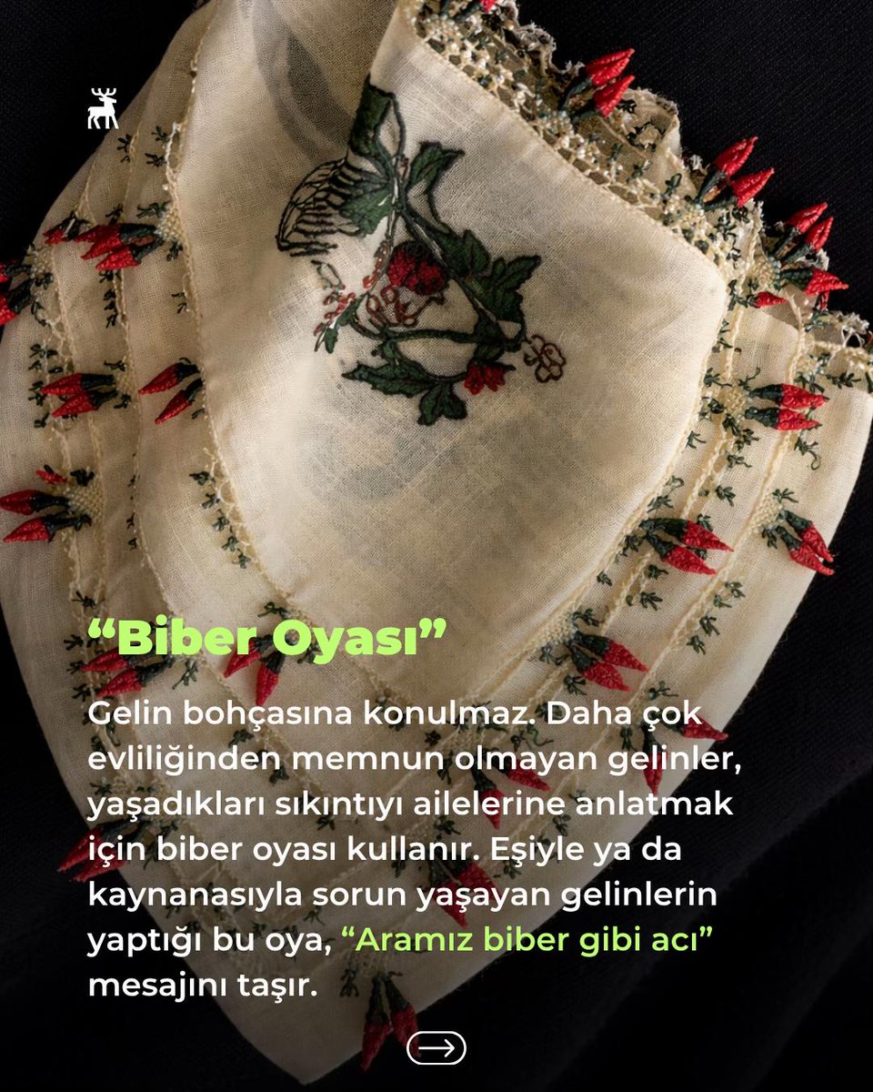 evaaa𓃠 tweet media