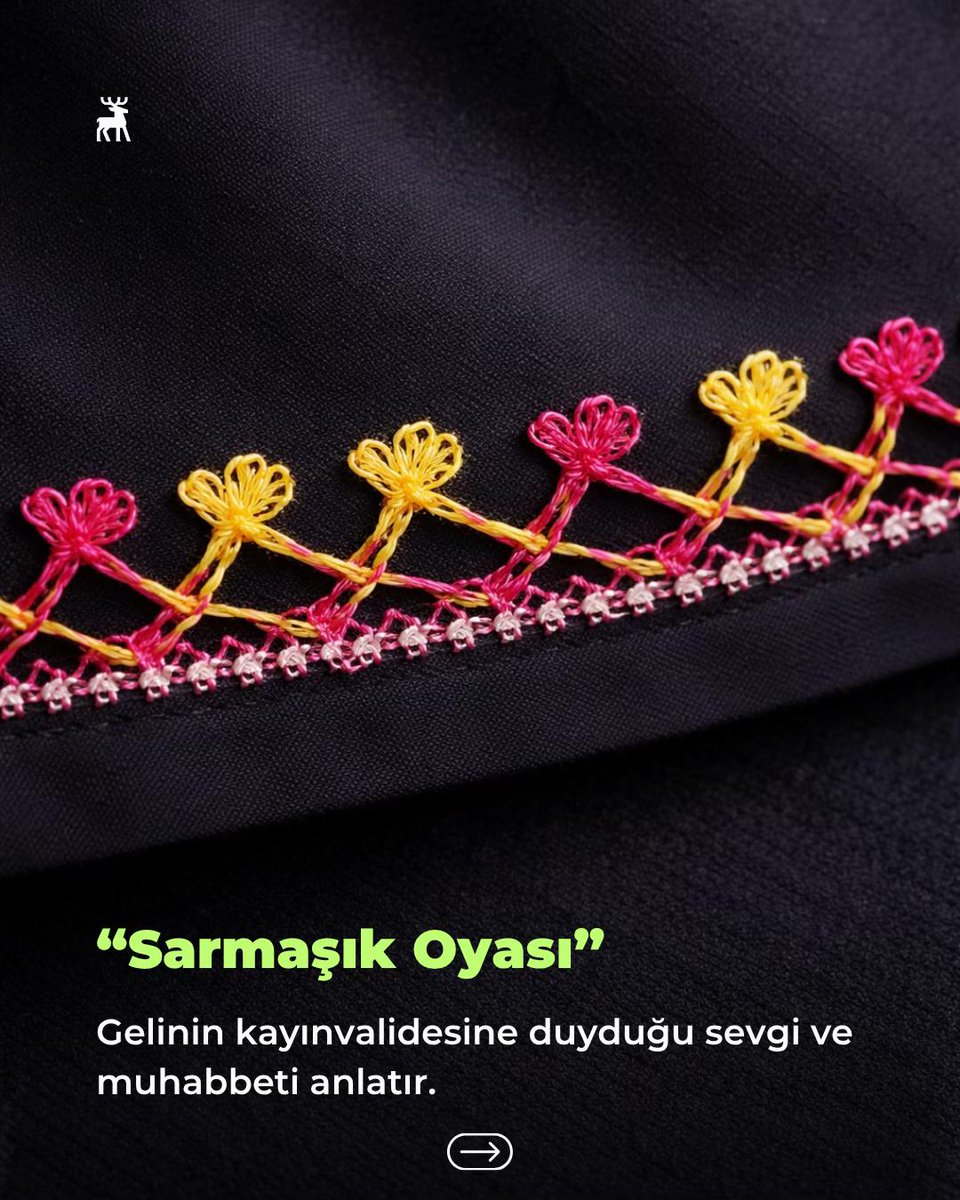 evaaa𓃠 tweet media