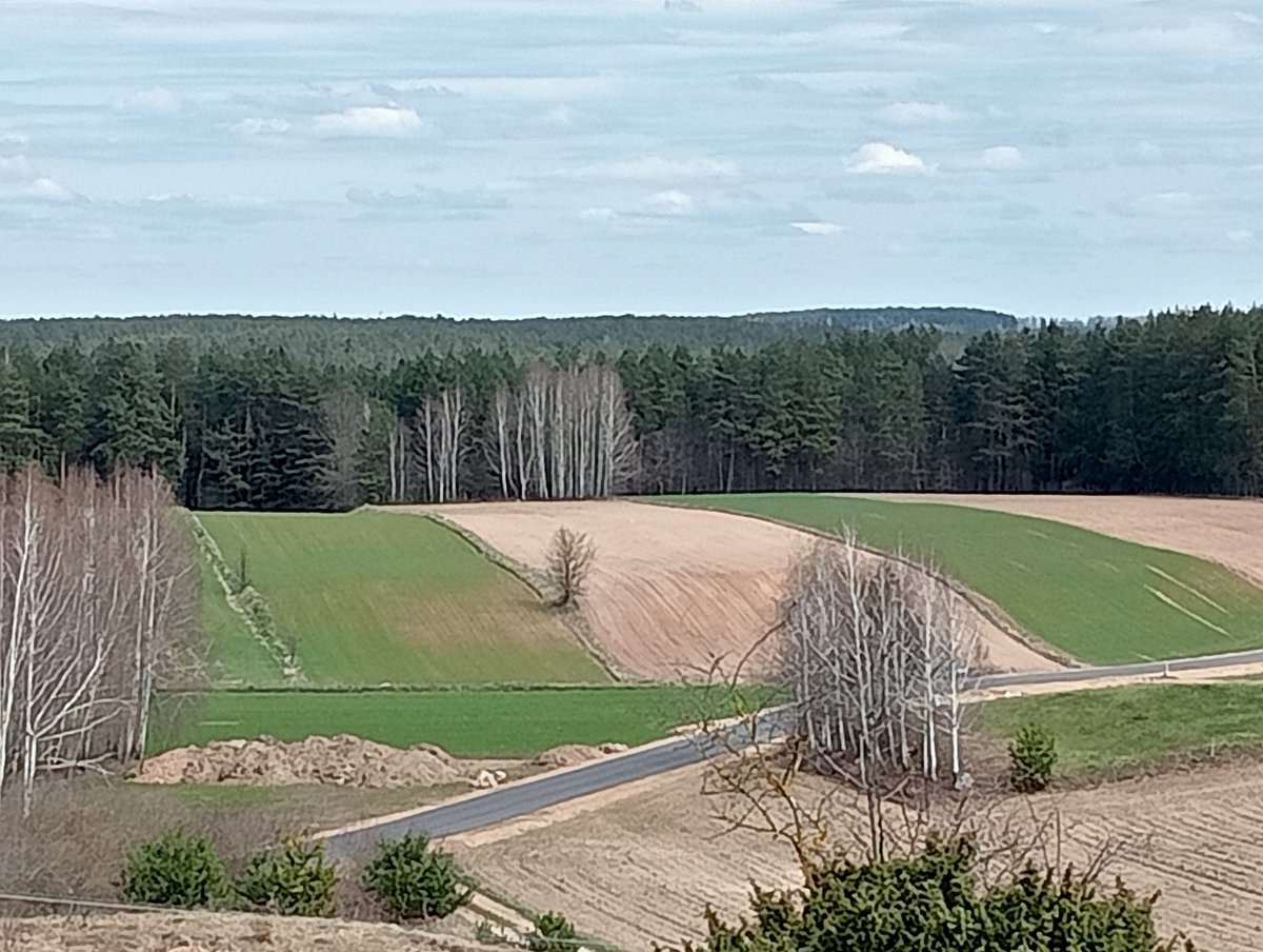 Piotrek (bo RODO) tweet media