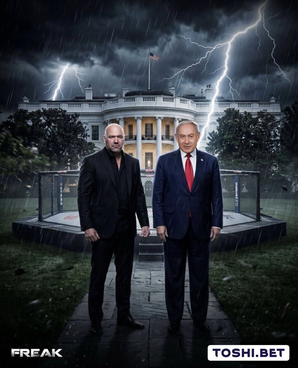 Toshi.bet 🈺 tweet media