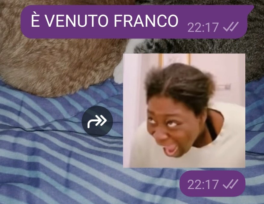 Unico messaggio mandato random al mio ragazzo che ha avuto notizie di me così dopo 3 ore le cose rilevanti sono queste nella vita