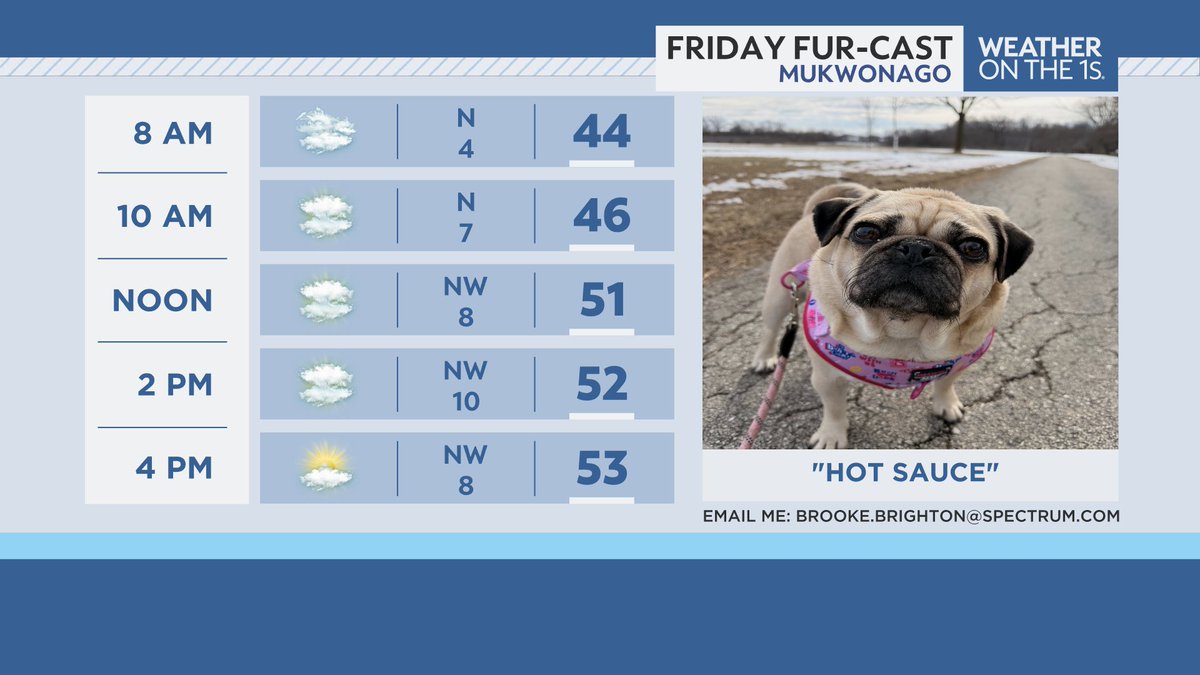 BrookeBrighton's tweet image. Our @SpectrumNews1WI #Furcast friend this Friday is "Hot Sauce" from Mukwonago (thanks to Jaime Jackson for sharing). If you have any pictures of your pet, feel free to share it with me (make sure to include name &amp;amp; location) for your chance to be featured on-air. 🐶🐱🐭🐰🐦 #pets