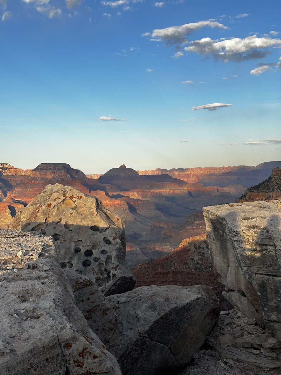 Jeff Swanson tweet media