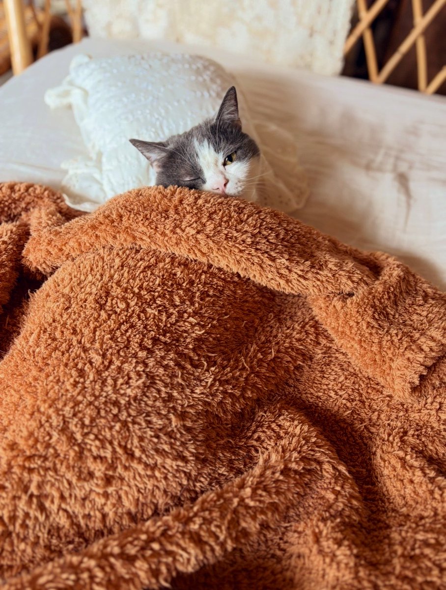 くう太と水玉。 tweet media