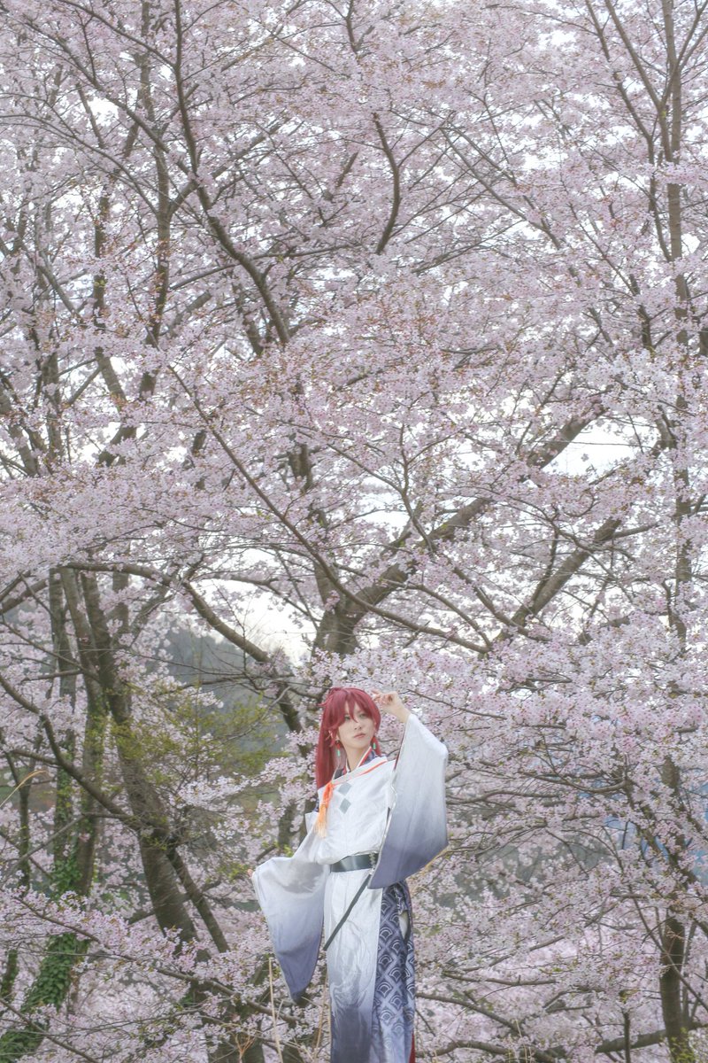 ちゃ🍵多忙🙏🙏 tweet media