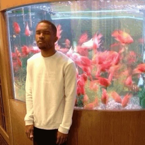 girl on fire (Taylor’s Version) tweet media