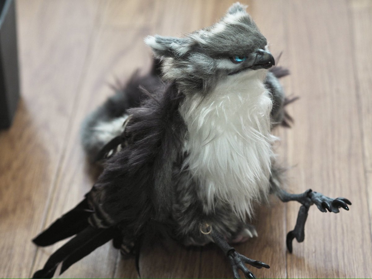 紫(むらさき)里親様募集中 tweet media