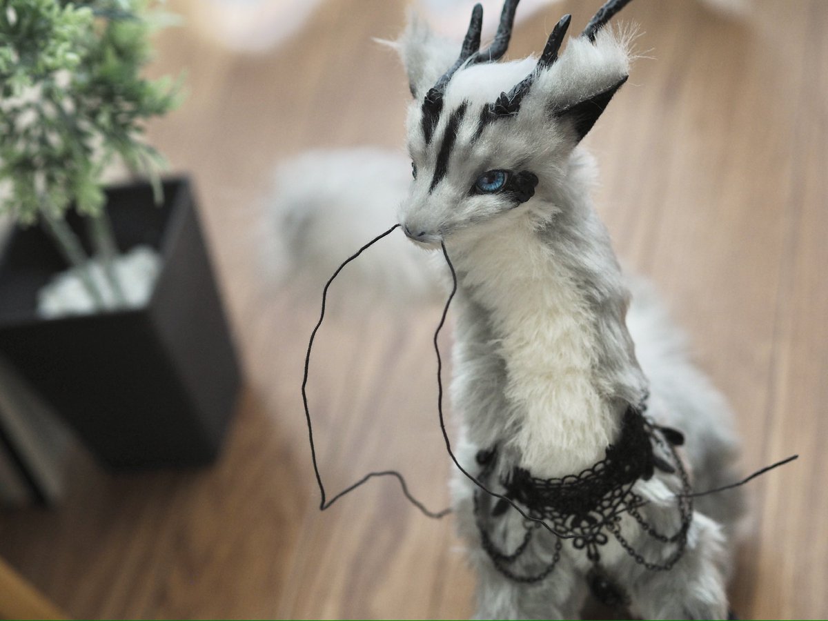 紫(むらさき)里親様募集中 tweet media