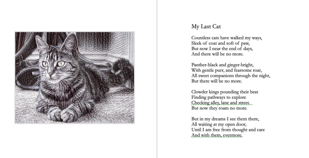 Daisy Dumpling and Dotty the Salty Sea Cat🌈 tweet media