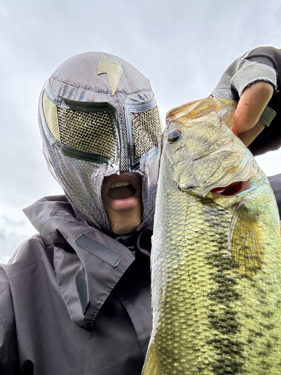 きたつ tweet media