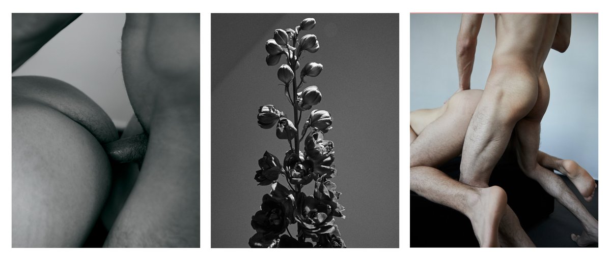 BOYZ & Flowers tweet media