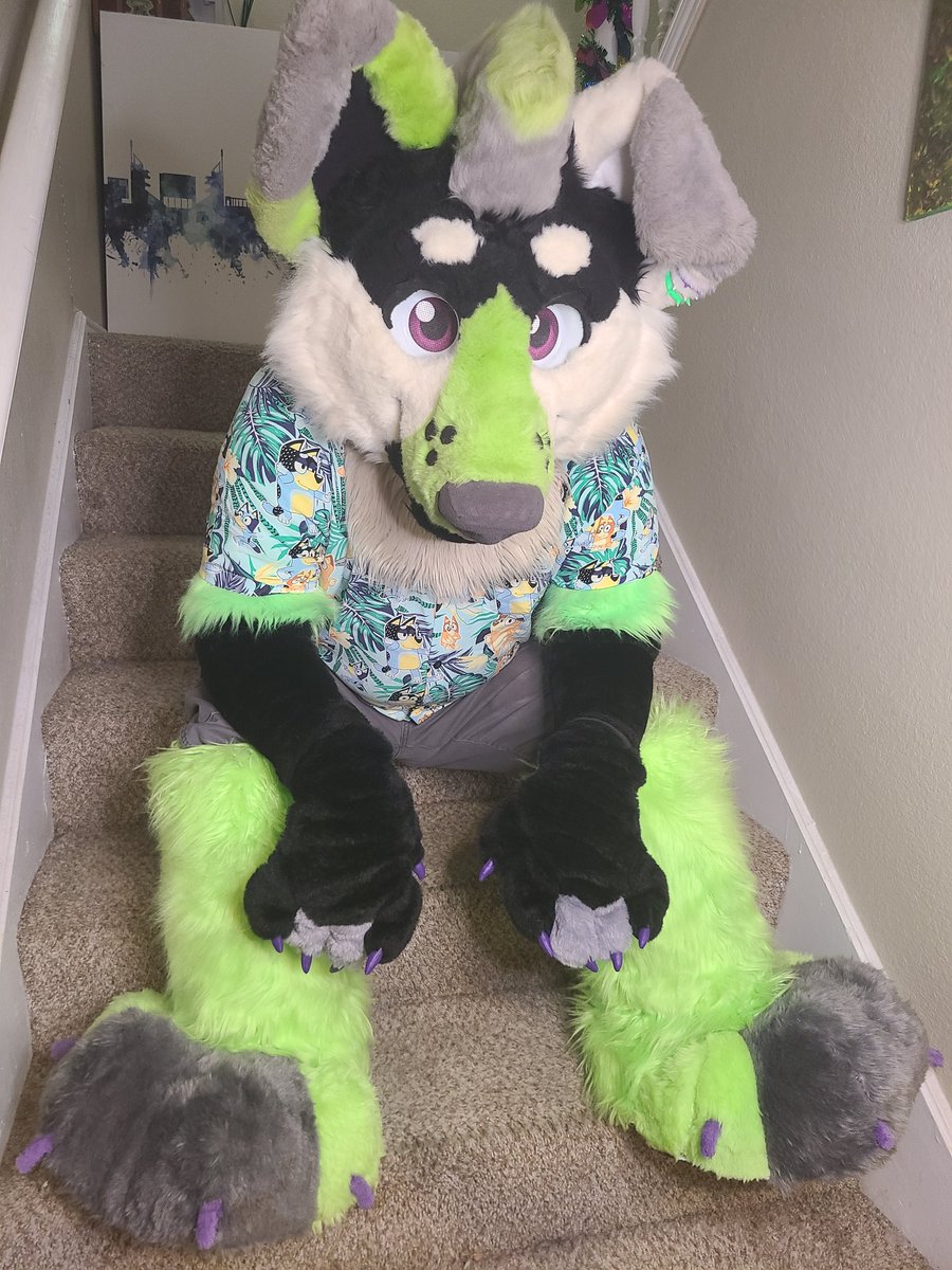 Night Wolf corgi butt 👉ACFI tweet media