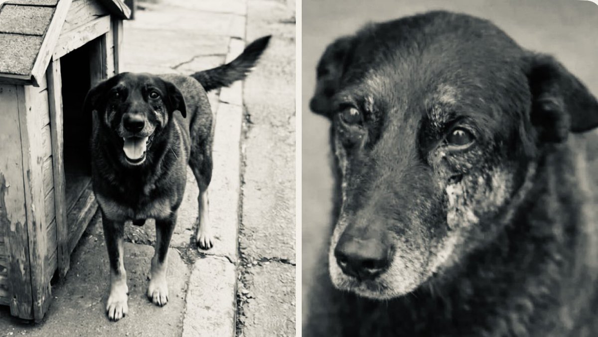 Marco Valverde ® tweet media