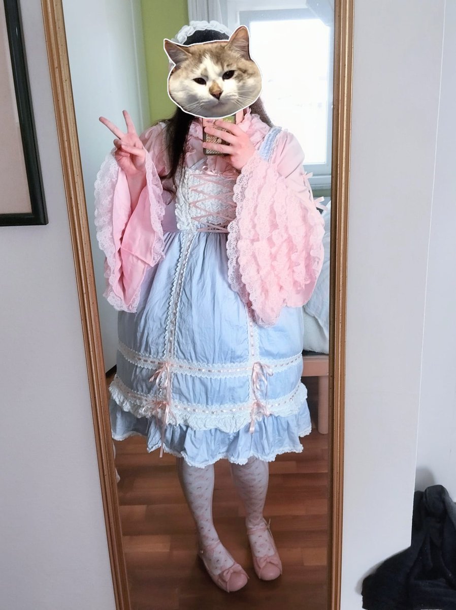 Leo 🍀🐞 tweet media