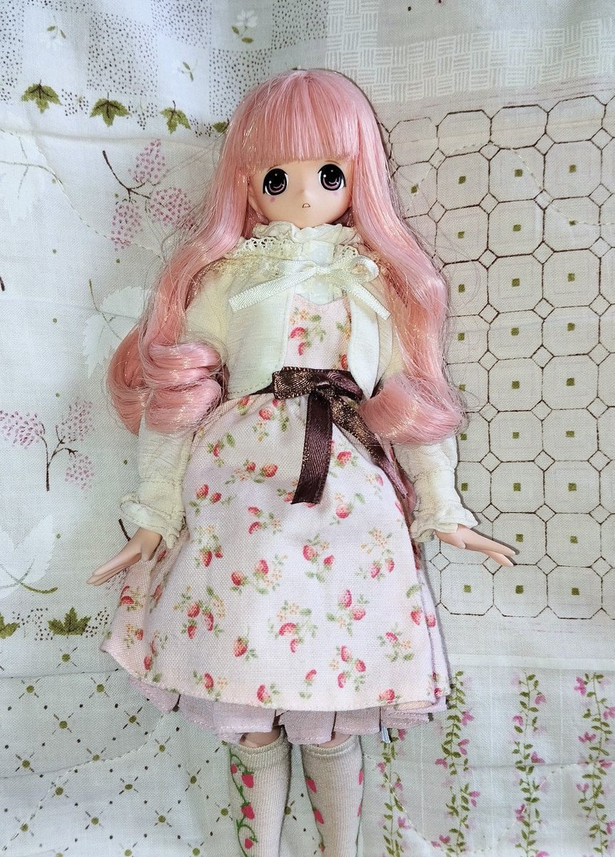 Leo 🍀🐞 tweet media