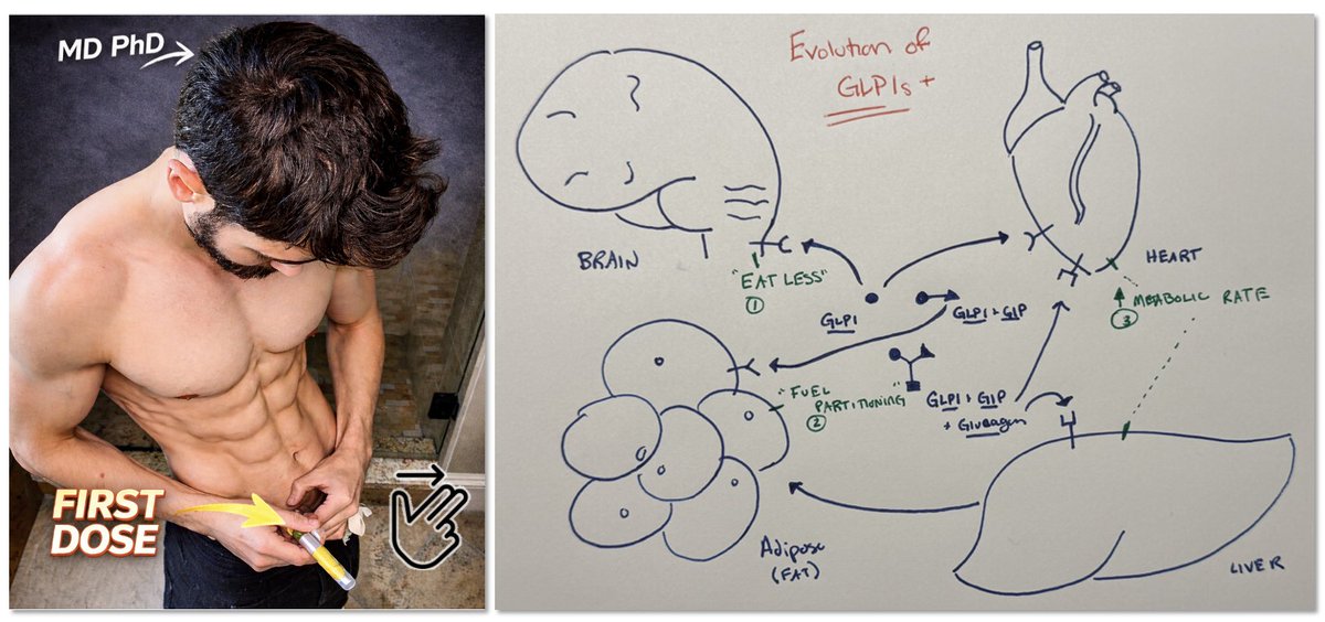 Nick Norwitz MD PhD tweet media