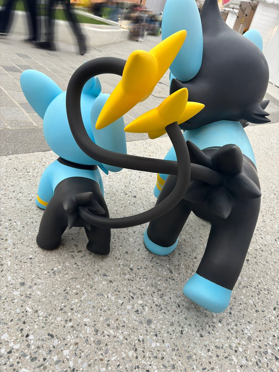 ブラッキー信仰者 tweet media