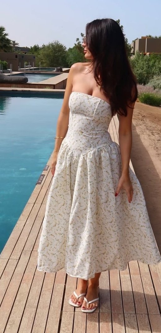 The Bird Watcher tweet media