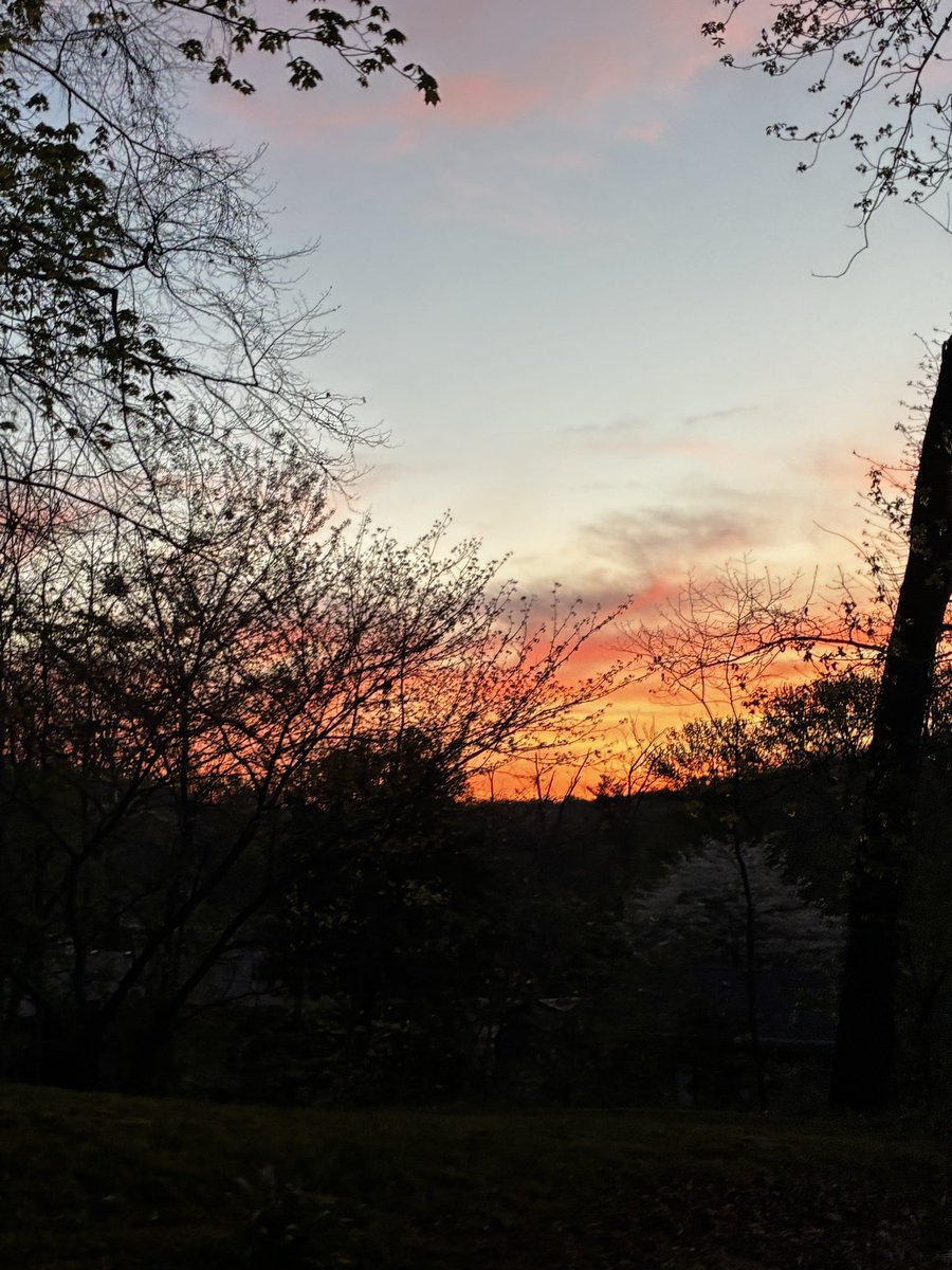 Alabaster tweet media