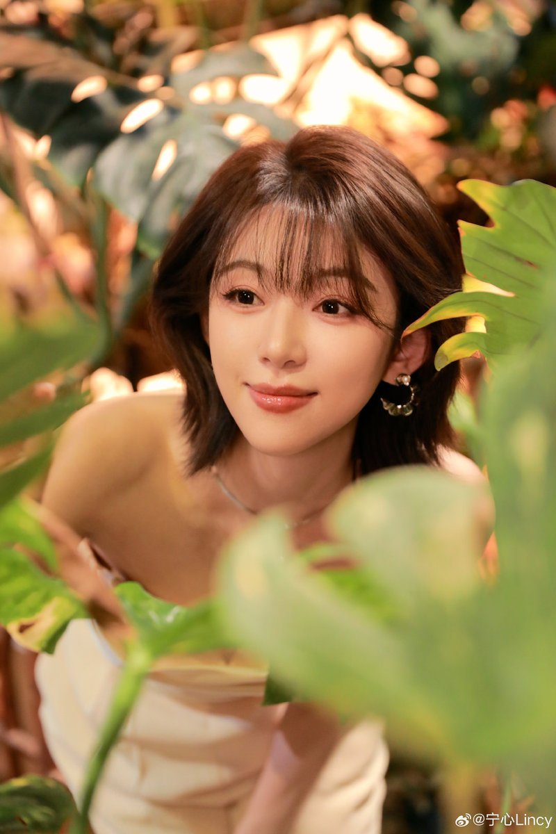Jet Liu tweet media