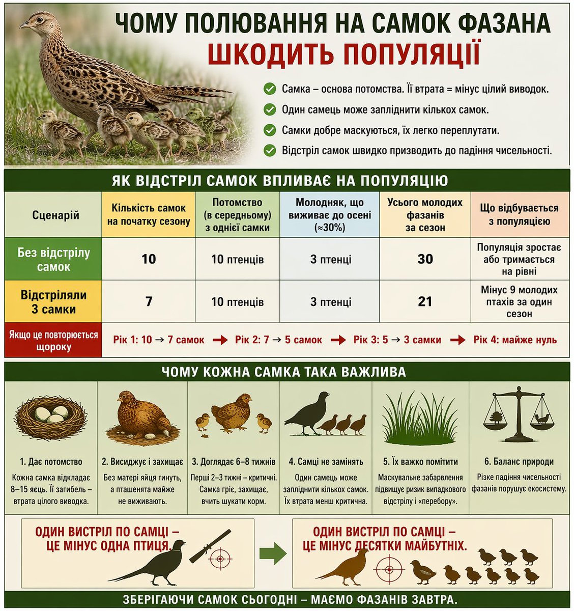 Benjamin Swan tweet media